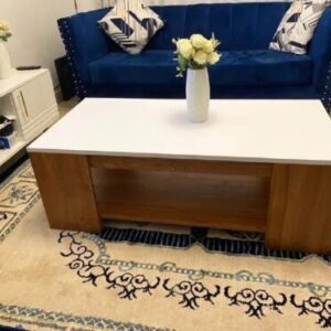 Julz Modern Design Coffee Table with Storage